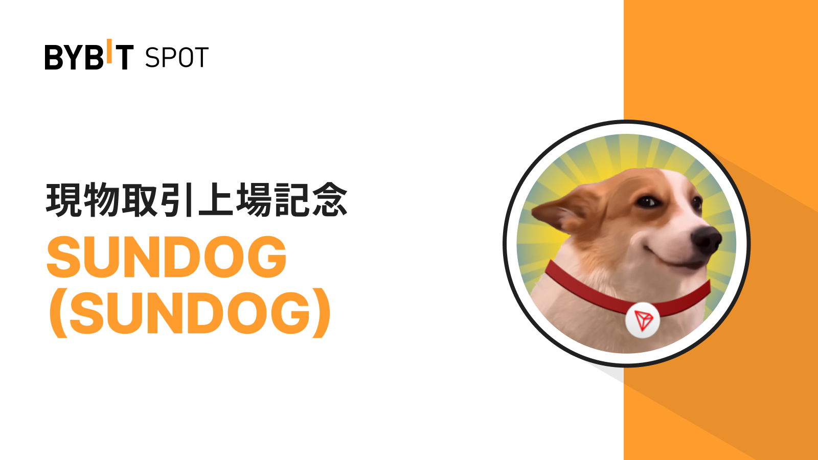 Bybit Announcement | 【新規上場】SUNDOGが現物取引に新規上場！